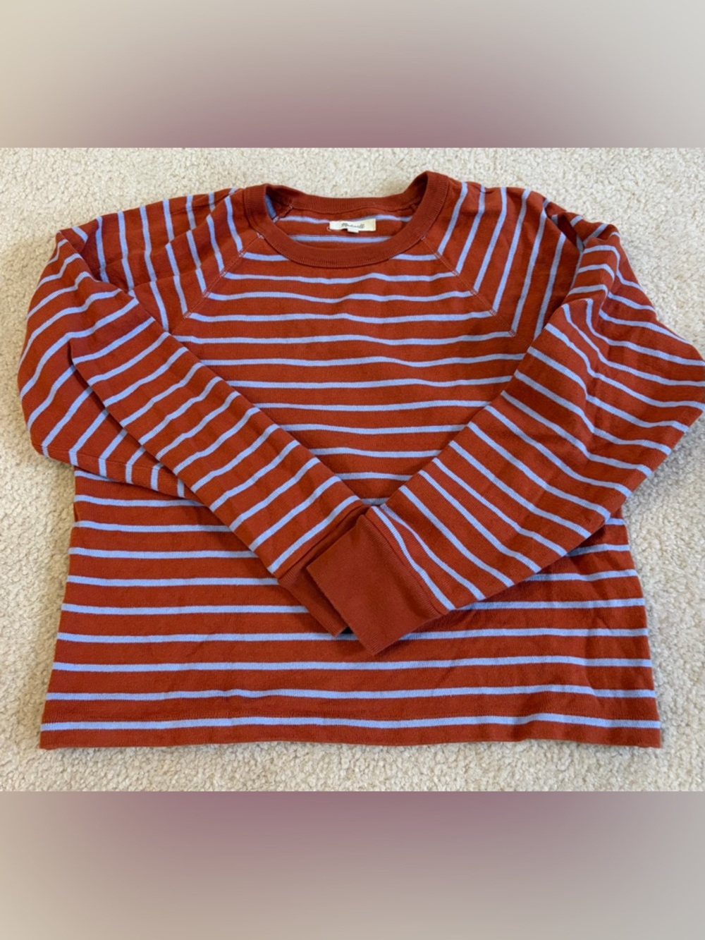 Madewell Luxe Raglan Sweatshirt in Stripe, Rainwater Peri, large